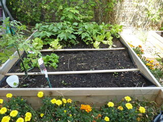  Appartement � vendre 4 pi�ces 85 m�