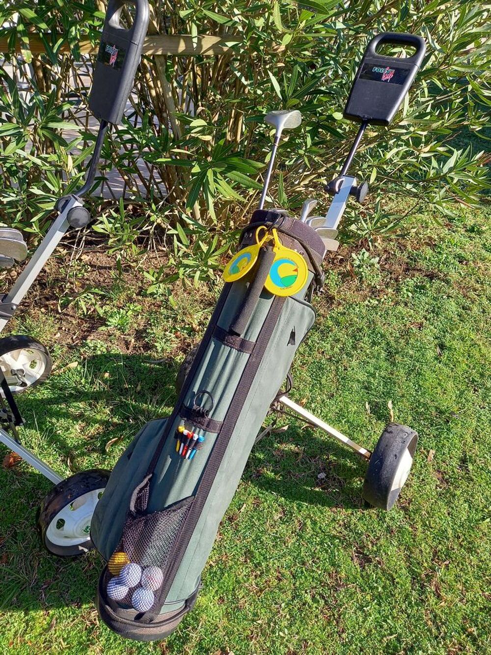  2 Chariots de golf Sports