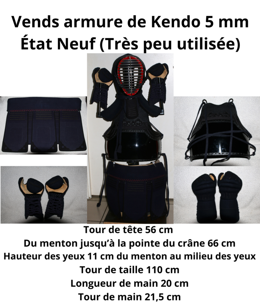 BOGU ou Armure de Kendo Sports