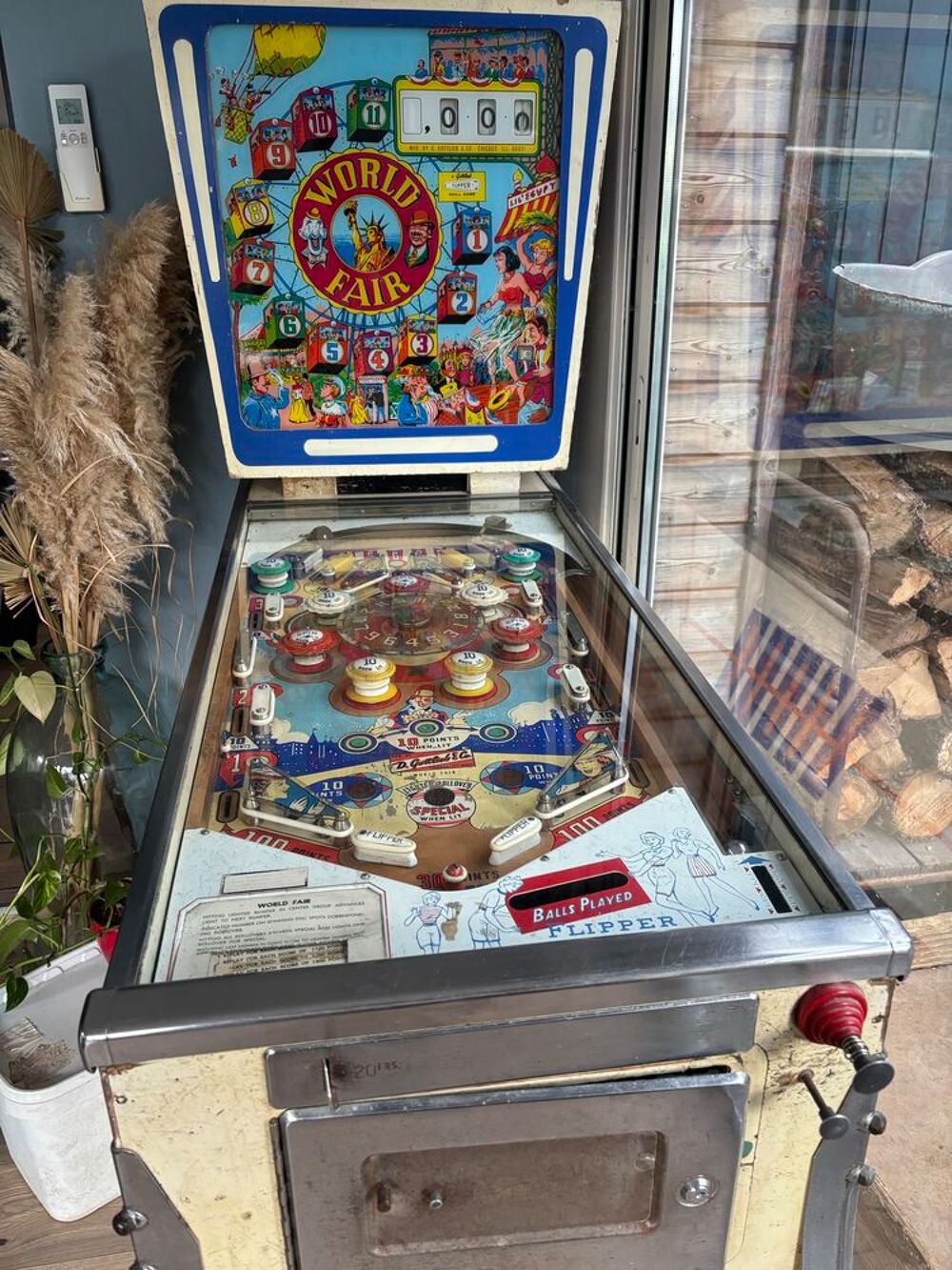 Flipper annee1963 