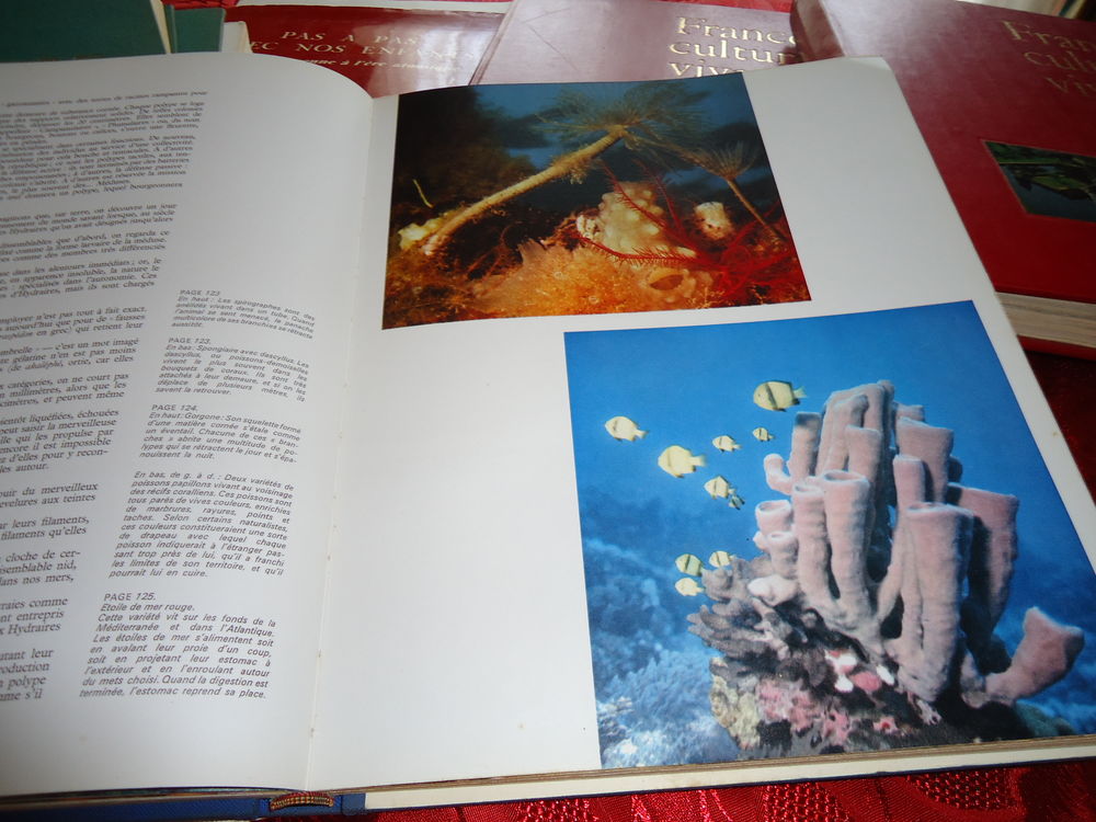 livre ancien Sports