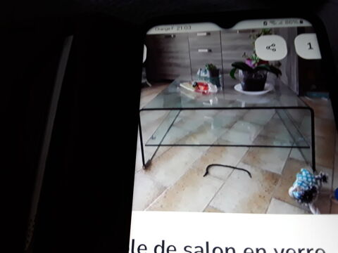 Table de salon 50 Latour-Bas-Elne (66)