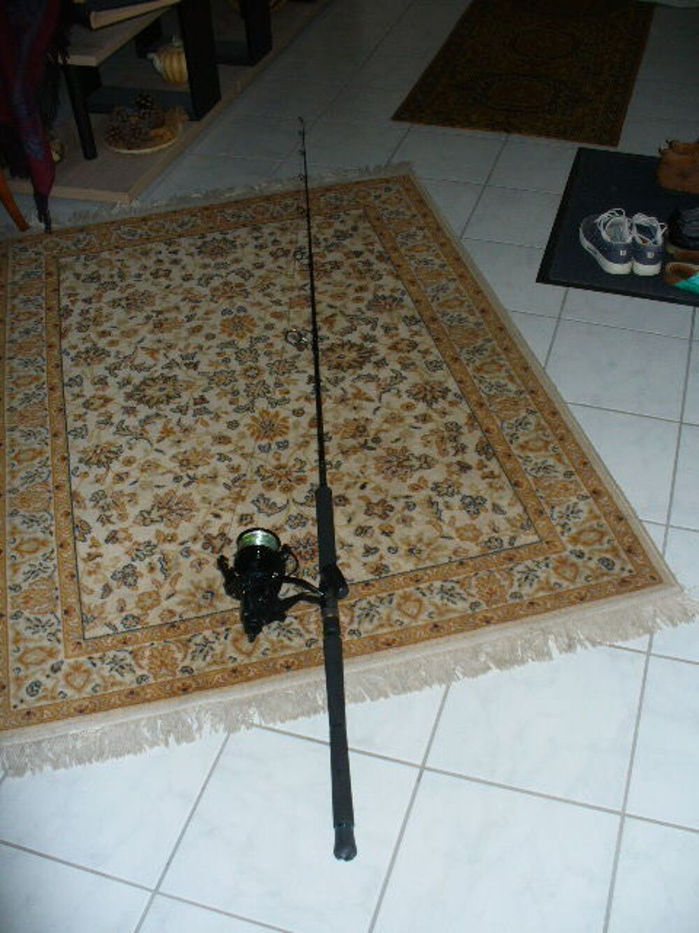 Ensemble Canne p&ecirc;che DAIWA + Moulinet 12 000 &eacute;quip&eacute; tresse Sports