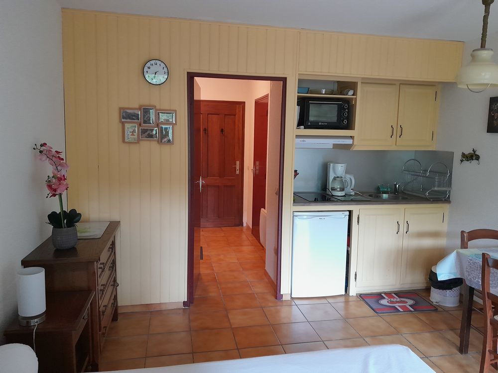 Vente Appartement appartement de 24m² avec loggia de 6m² Prats-de-mollo-la-preste