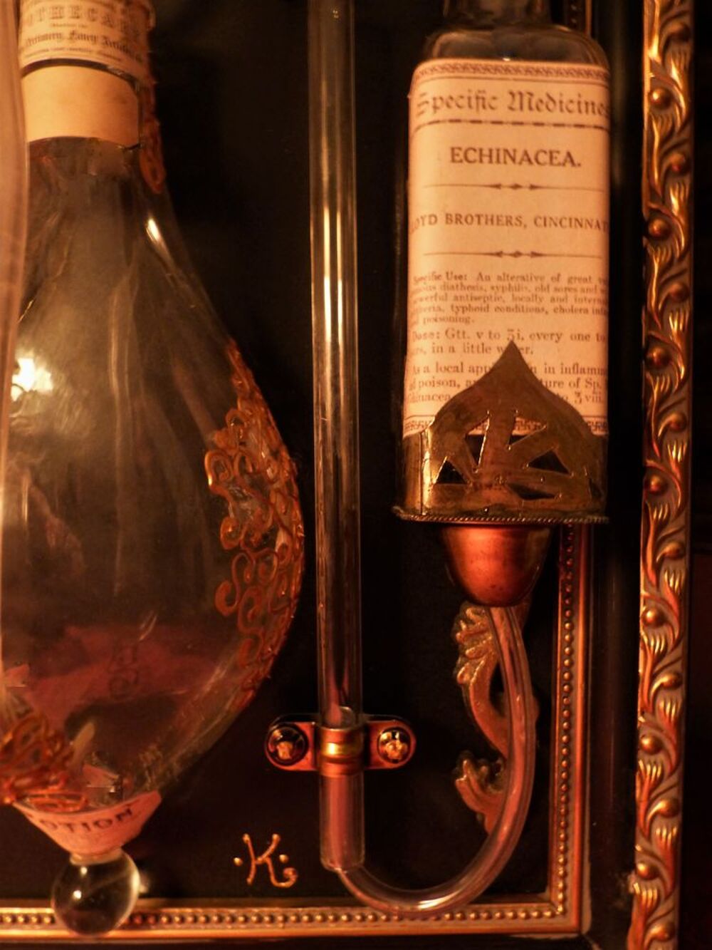 Tableau de Curiosit&eacute; "DOCTORIUM XIX" Steampunk Décoration