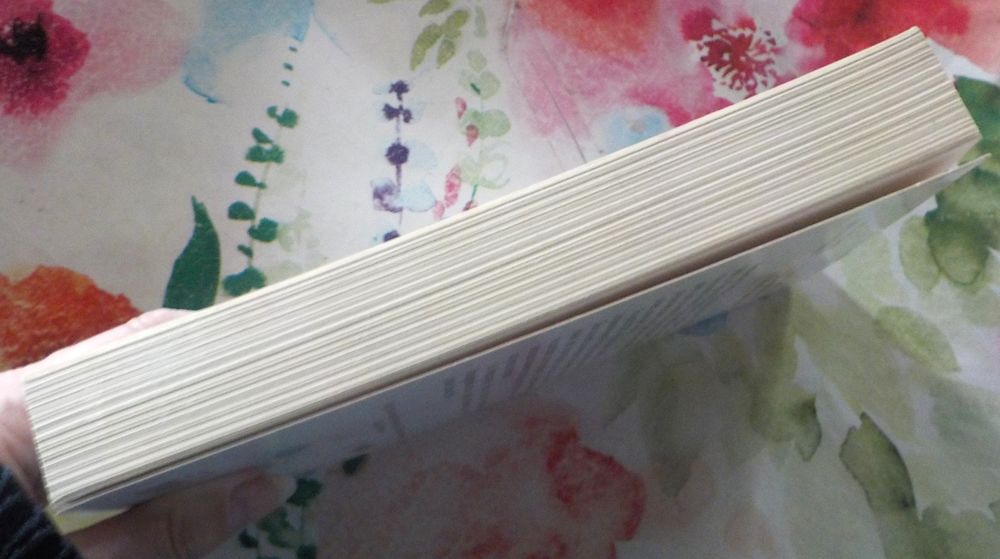 3096 JOURS par Natasha KAMPUSCH Ed. de Noyelles Livres et BD