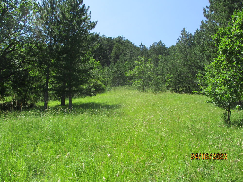 Vente Terrain SERRES (05700) secteur Saint Jean  terrain constructible Serres