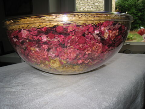 Grand saladier fleurs s�ch�es 30 cm 10 Saint-Ismier (38)