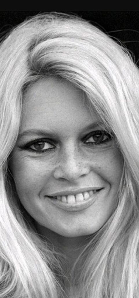 VINYLE B.BARDOT 0 Toulouse (31)