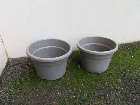 Deux pots , neufs , avec soucoupes . 10 Échenoz-la-Méline (70)