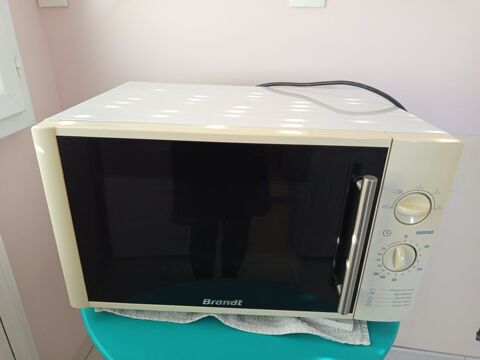 Micro-ondes grill  30 Laon (02)