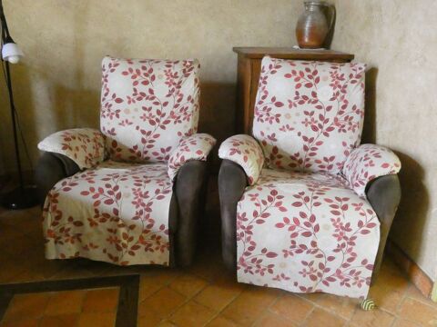 2 fauteuils 60 Batilly-en-Puisaye (45)
