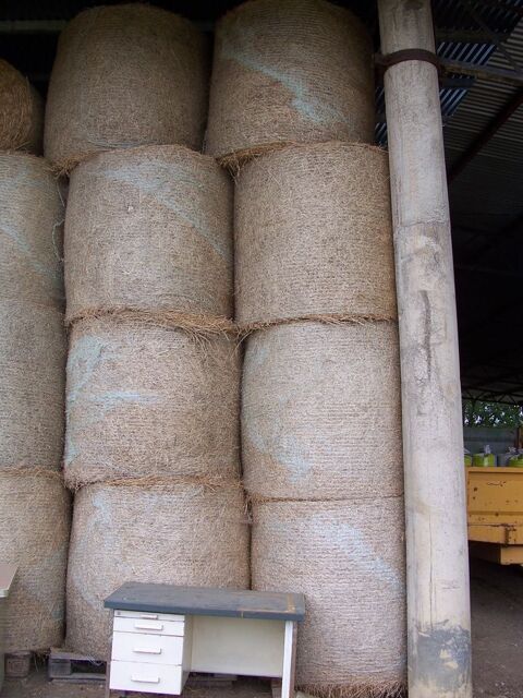 foin balles  ronde 0 66400 Reyn�s