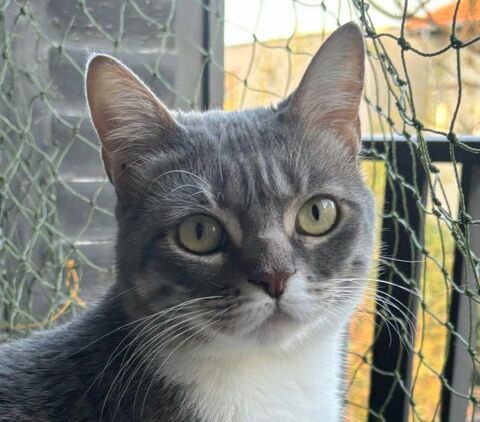 NUAGE 230 92150 Suresnes