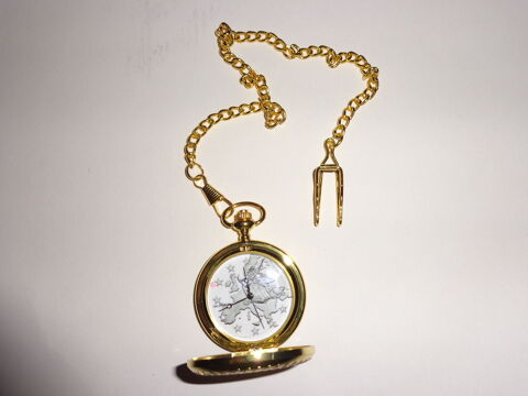 Montre à gousset neuve 15 Redon (35)