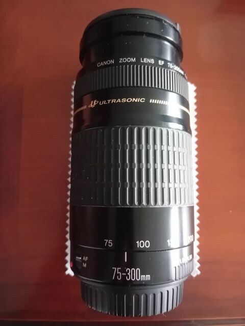 APPAREIL PHOTO CANON 300 Woippy (57)