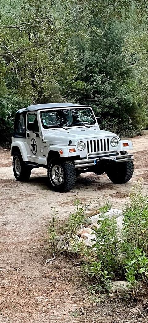 Jeep Wrangler 2.5i Sport SE Soft Top 1997 occasion Saint-Mitre-les-Remparts 13920