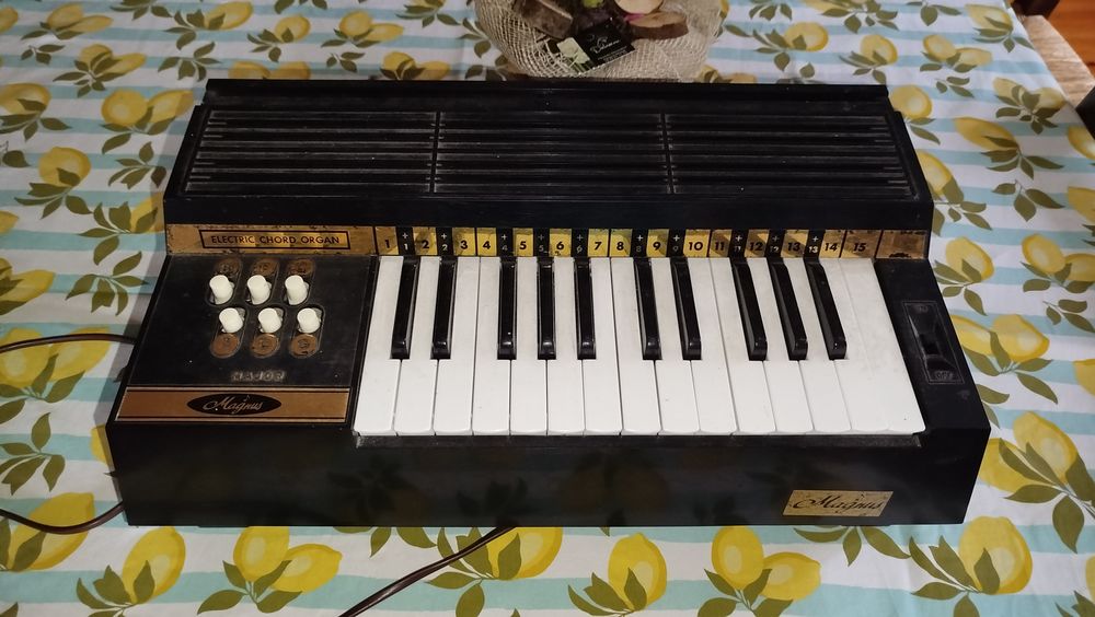 Harmonium &eacute;lectrique de marque Magnus Instruments de musique