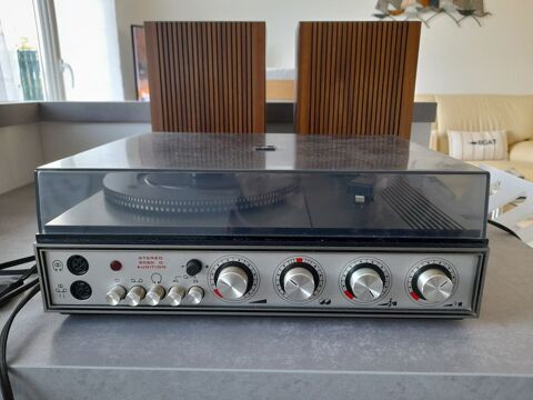 PLATINE Pénestin (56)