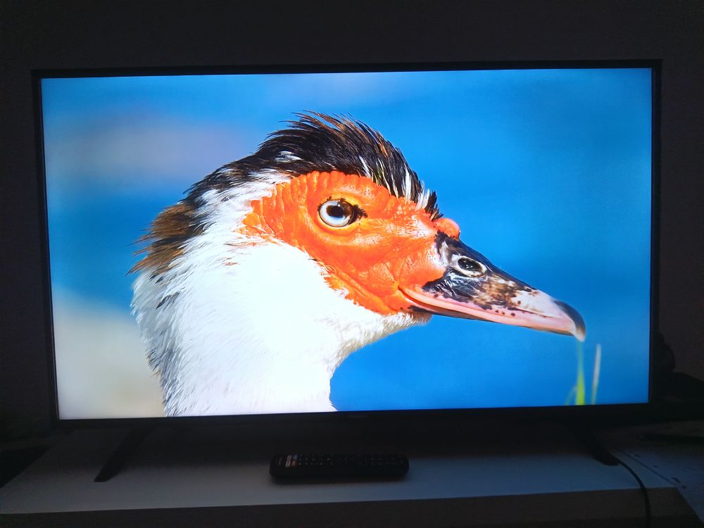 Smart tv HISENS 4K UHD 109cm Photos/Video/TV