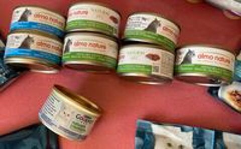   Lot entier neuf pour chats

