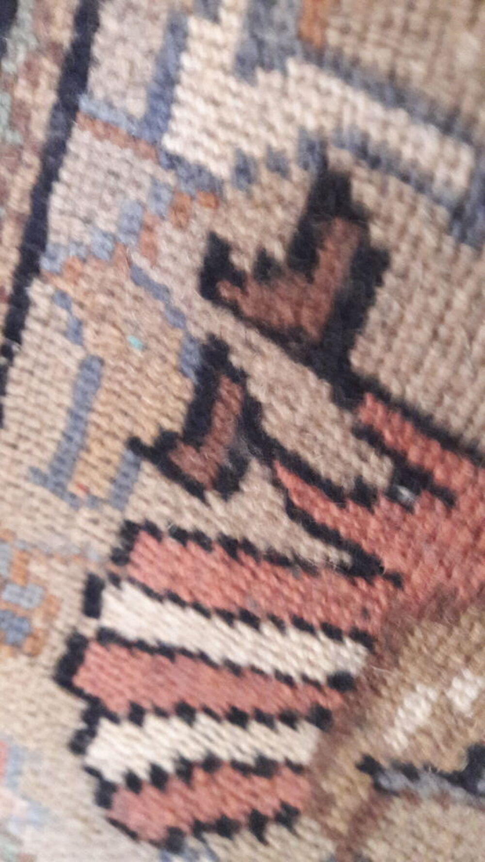 TAPIS DES INDES Décoration