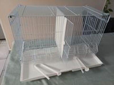   CAGE BLANCHE  