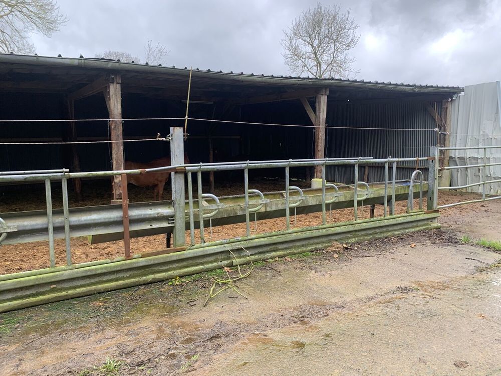 Location Autre HARAS D'ELEVAGE TROTTEUR Cerisy-la-forêt