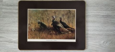 DESSOUS DE PLAT ANGLAIS EN LIEGE 2 Elbeuf (76)