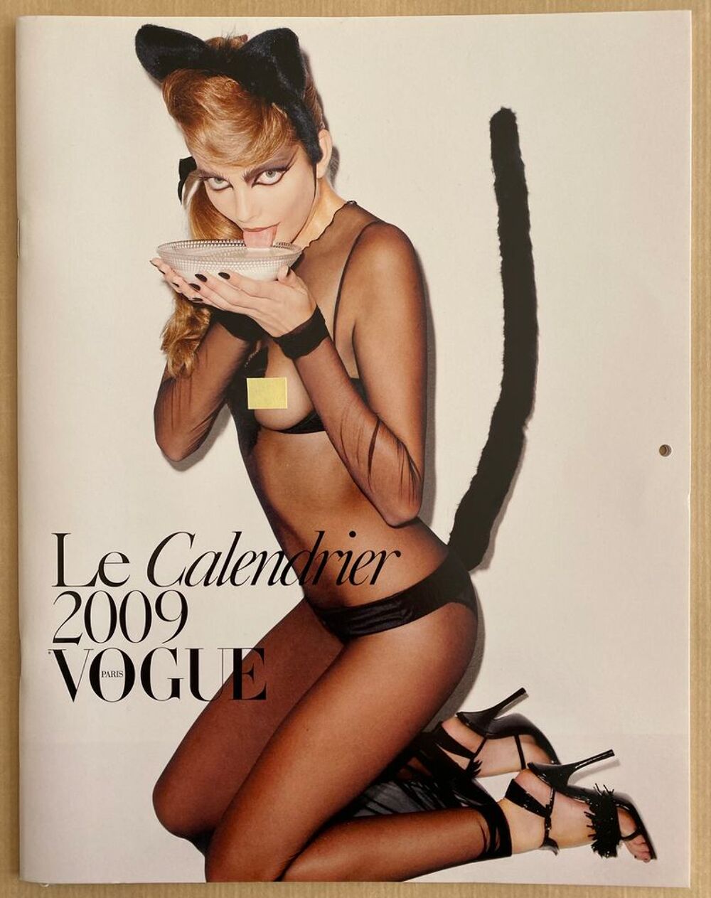Calendrier VOGUE Paris 2009 By Terry Richardson 