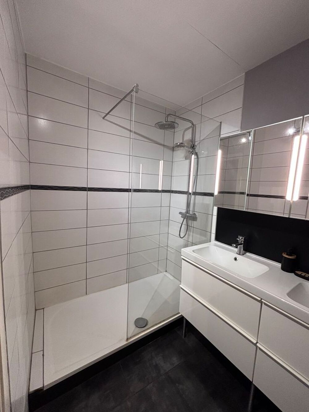 Vente Appartement Bel appartement 100 m2 VILLEURBANNE Villeurbanne