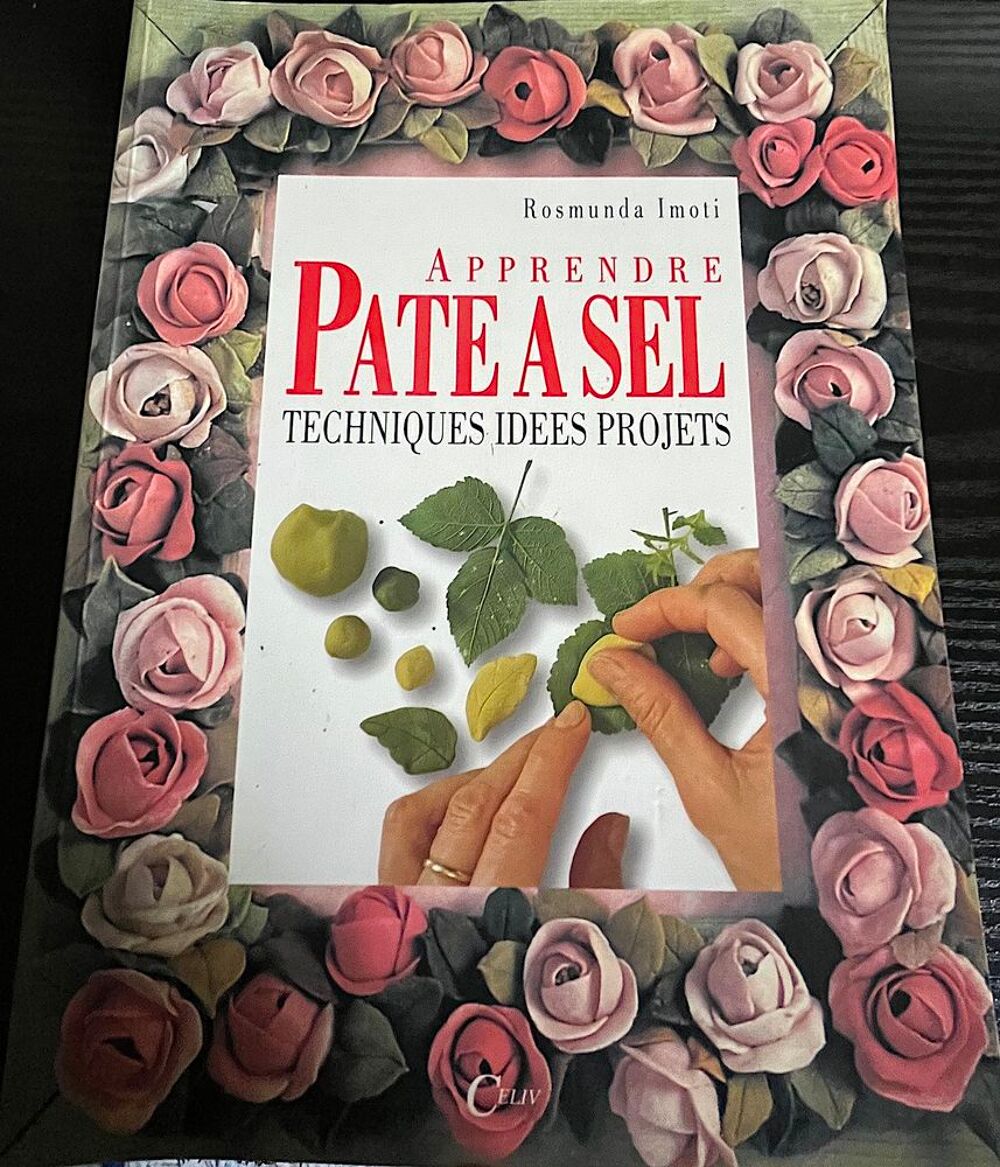 P&acirc;te &agrave; sel: Un classeur et deux livres Bricolage