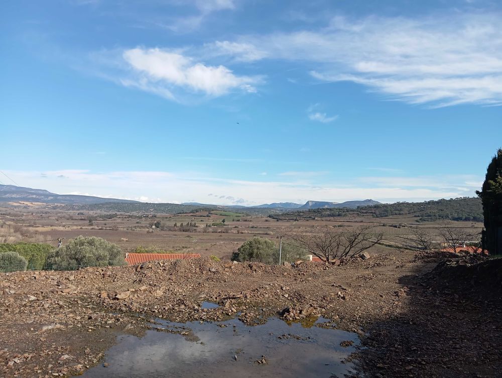 Vente Terrain Terrain constructible 996 m2 Montner