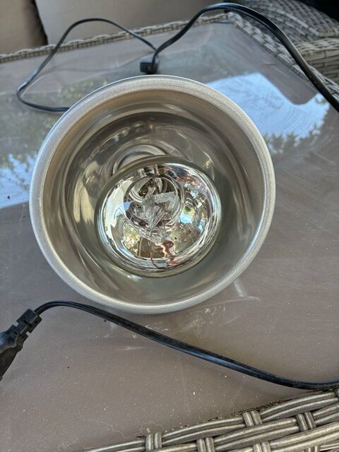 terrarium pour reptiles 70 Vayres (33)