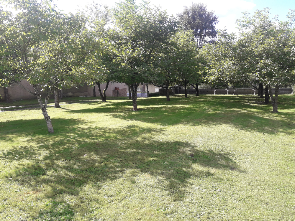 Vente Terrain Terrain constructible 800m2 Ambert