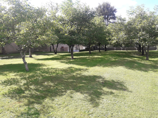  Terrain � vendre 800 m�