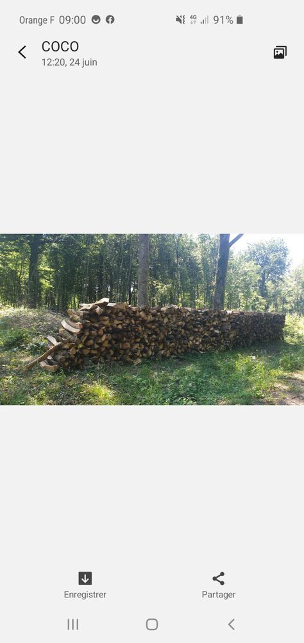 Bois ch&ecirc;ne Bricolage