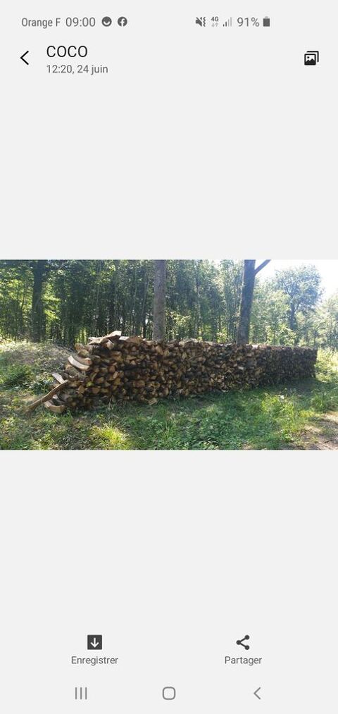 Bois chne 0 Vincent (39)