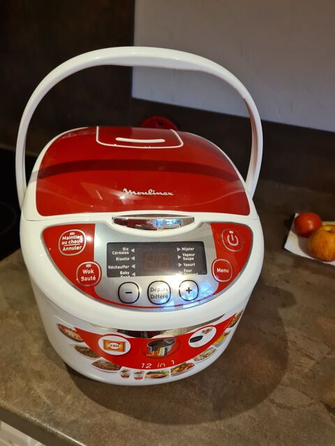 Multicuiseur 60 Chtillon-sur-Loire (45)