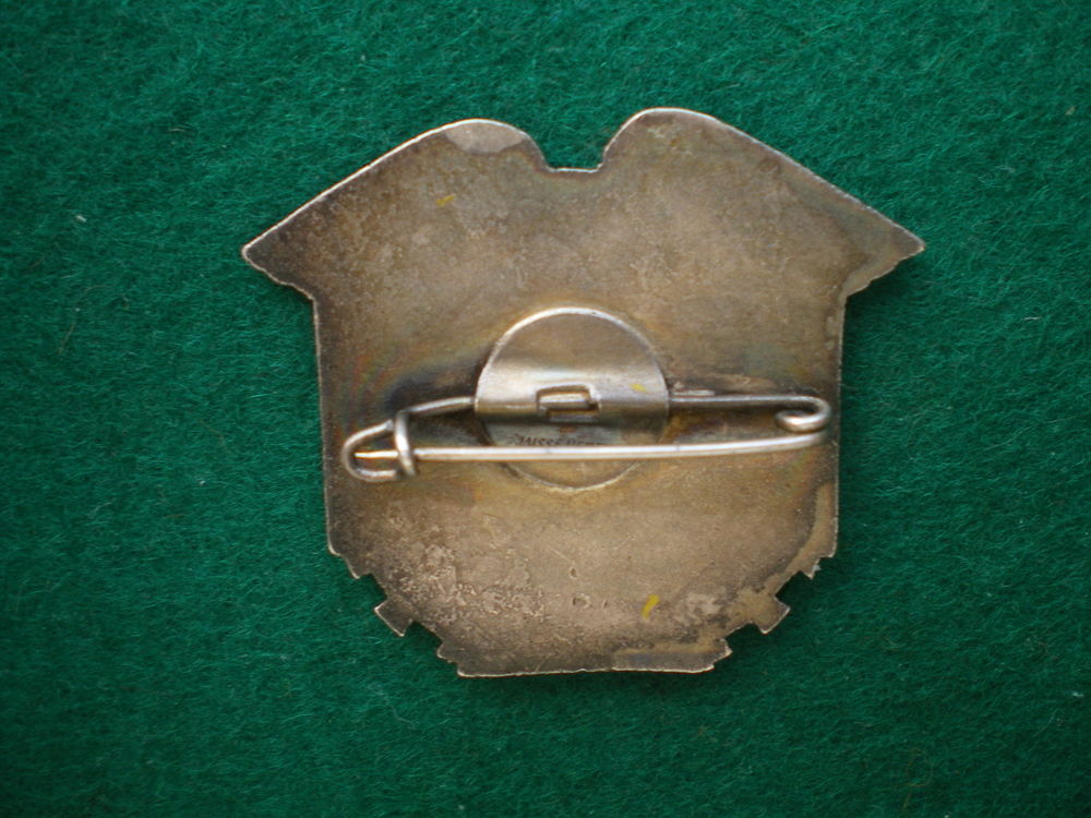 Insigne de Sant&eacute; - Ambulance Chirurgicale L&eacute;g&egrave;re 203. 