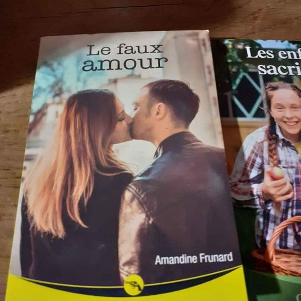 Lot de livre nous deux Livres et BD