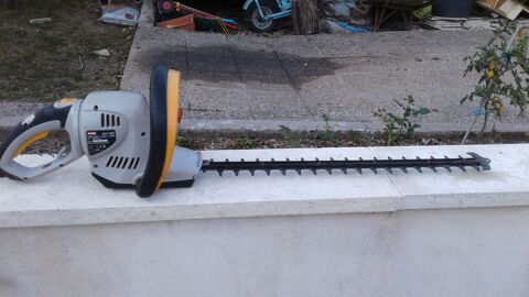 taille Haies entre particulier 20 Dijon (21)