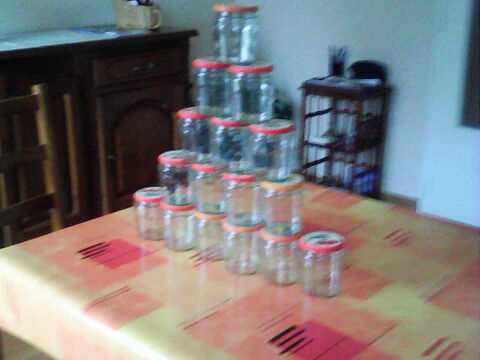 
POTS POUR CONFITURE Saint-Rmy-en-Rollat (03)