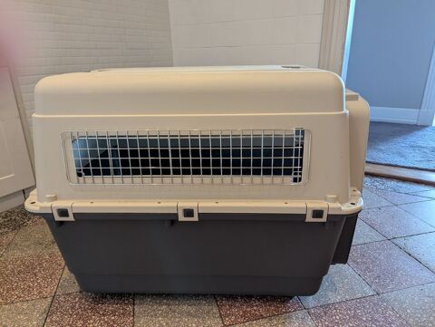 Cage de voyage transport Chien - Taille XL
70 67000 Strasbourg