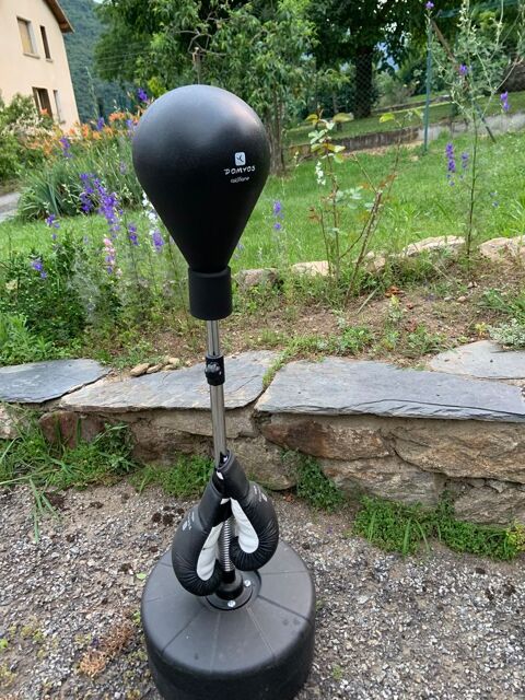 Punching ball+gants de boxe 25 Verdun (09)