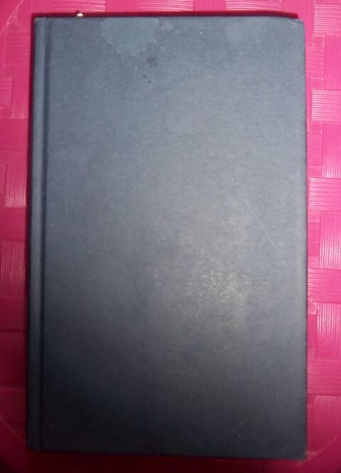 Dave Pelzer le moins que rien l'ado perdu 2 Colombier-Fontaine (25)