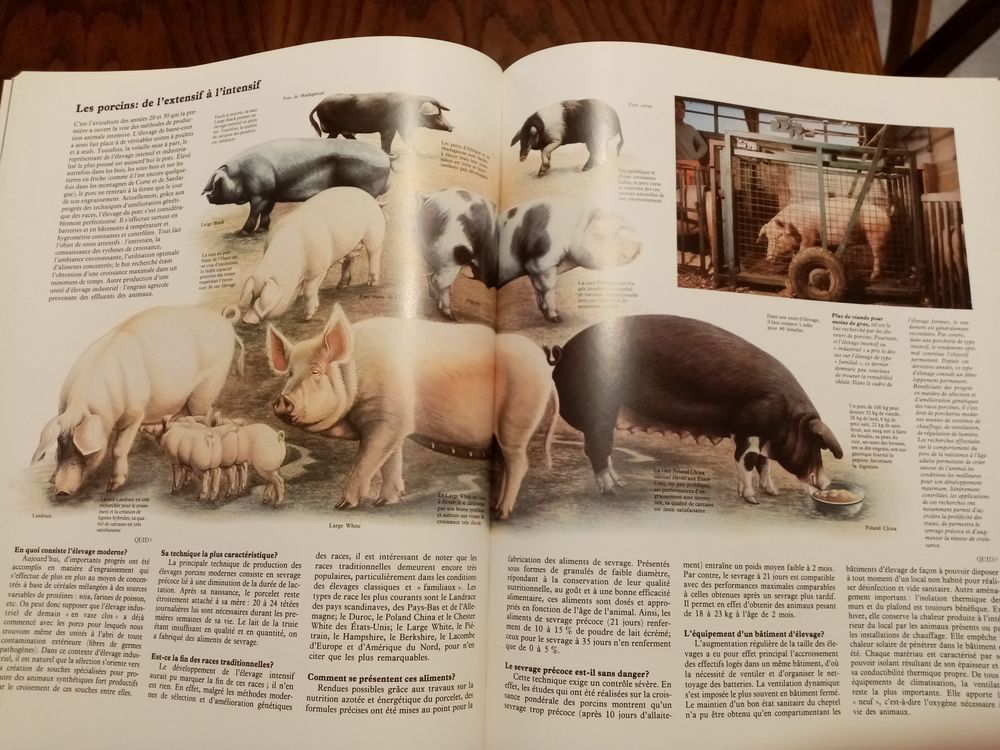 GRAND QUID ILLUSTR&Eacute; - Encyclop&eacute;die Robert Laffont, 1979 Livres et BD