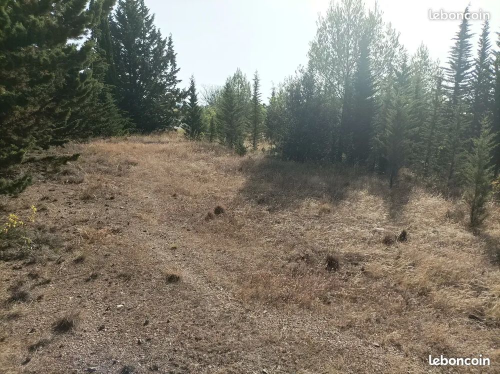 Vente Terrain TERRAIN 7400 M2 Salsigne
