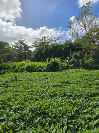  Terrain  vendre 9694 m