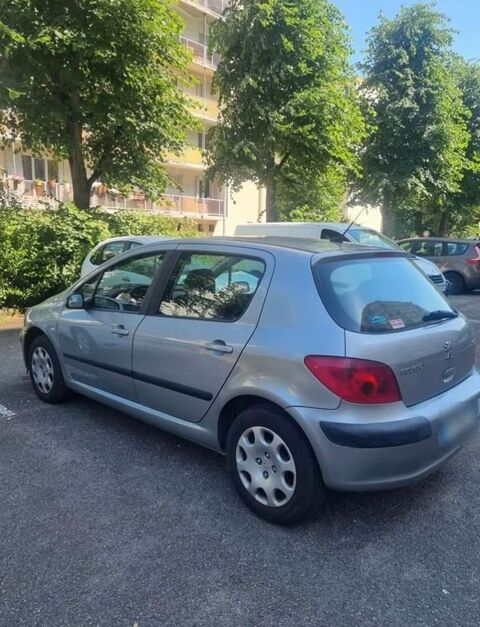 Peugeot 307 1.6i 16V Griffe